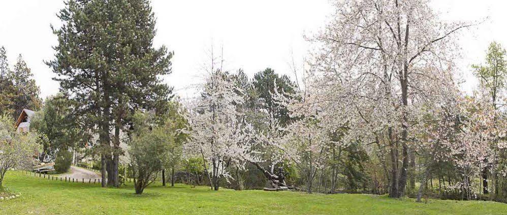 Cabanas Rucaleufu San Martín de los Andes Exterior foto